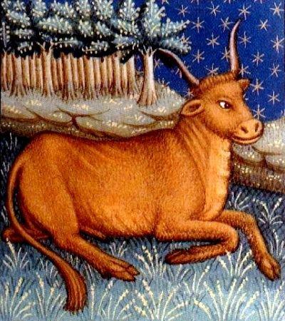 Taurus - Medieval